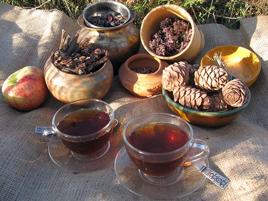 Бадан - основа алтайского чая