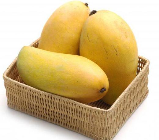 манго где растет страна 