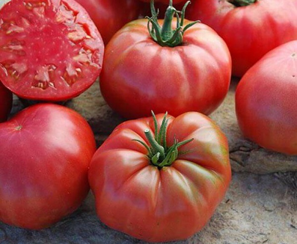 Лучшие сорта томатов: рейтинг 2022 (описание, фото)