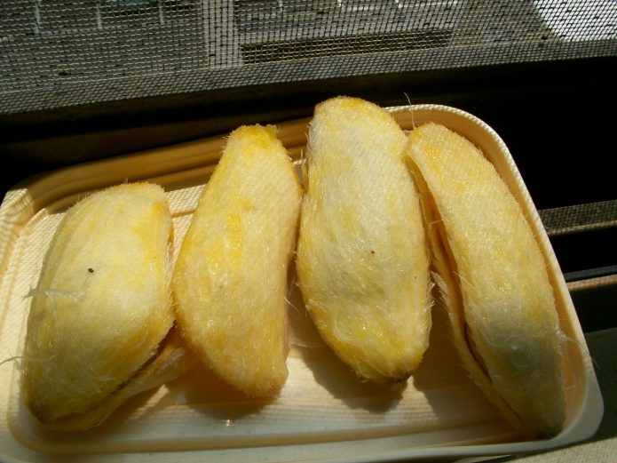 Косточки манго