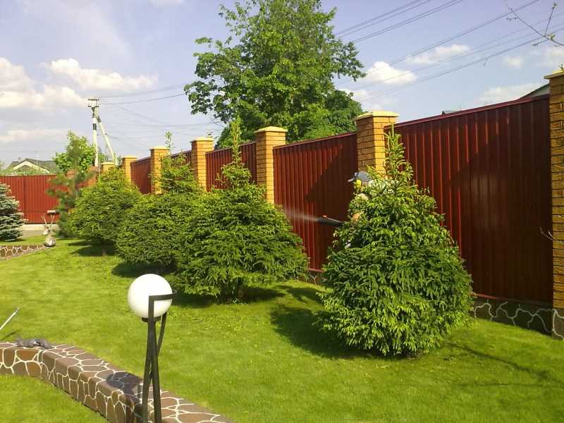 Ландшафтный дизайн дачного участка, сада и загородного дома (220 фото)