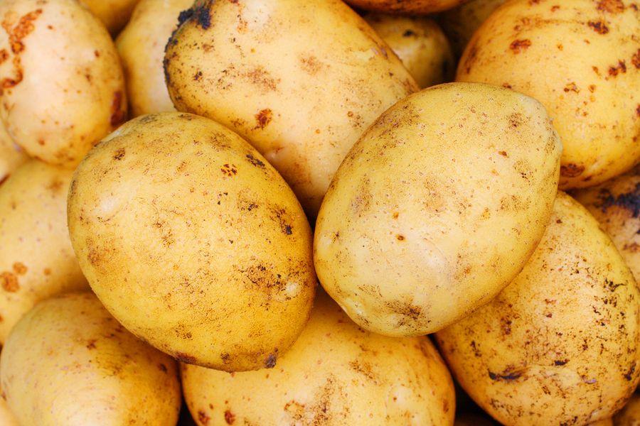 ТОП-35 урожайных сортов картофеля: фото, описание