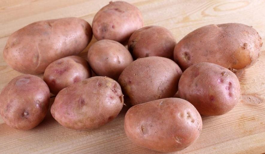 ТОП-35 урожайных сортов картофеля: фото, описание