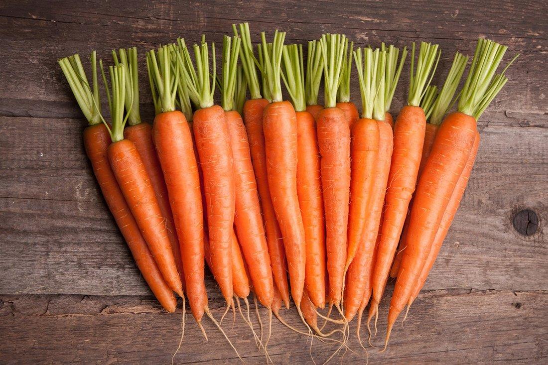 Удобрение моркови после всходов: чем и когда подкармливать