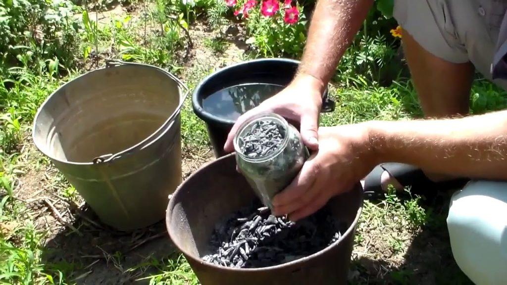 Древесный уголь – применение в саду и на огороде